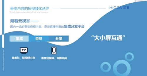 三晉論道，共話未來 海看股份許璐璐談精品垂類內(nèi)容產(chǎn)業(yè)化與河北網(wǎng)站開發(fā)的協(xié)同發(fā)展