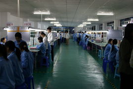 深圳市恒越達電子皮革及皮革制品批發行業分析